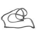 Guarnizione porta posteriore sinistra 1097300578