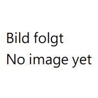 Auspuffanlage Edelstahl 220 SEb