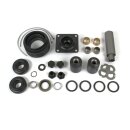 Kit di revisione asse posteriore II W109