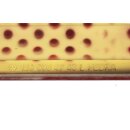 Planking SEC achtervleugel links rood