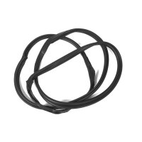 T&uuml;rdichtung hinten links Limousine NF